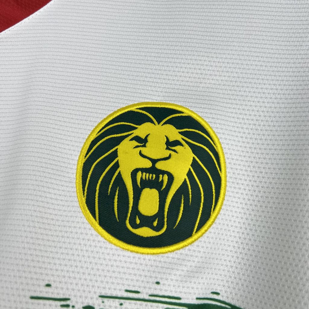 Maillot Cameroun